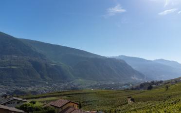 Wohnung 4.5 Zimmer - image - 3