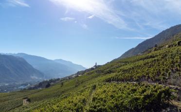 Wohnung 4.5 Zimmer - image - 4