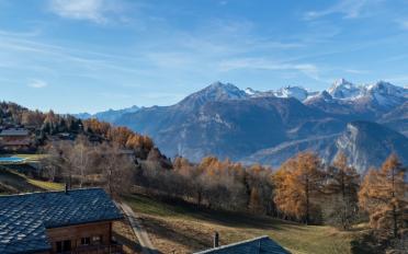 Attique 4.5 pièces - image - 4