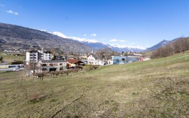 Apartment 2.5 rooms - image - 4