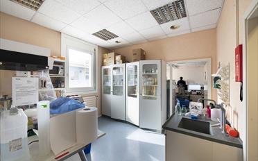 Office - image - 4
