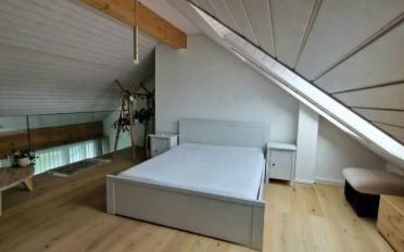 Attic flat 3.5 rooms - image - 6