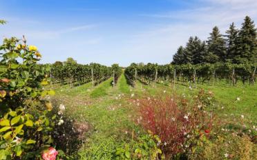 Single house 8 rooms - image - 12