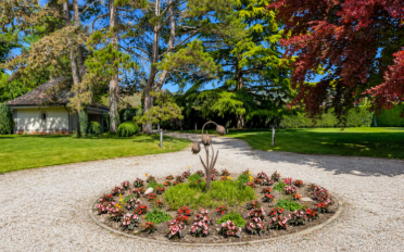 Villa 10 Zimmer - image - 8
