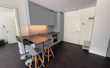 Wohnung 3.5 Zimmer - image - 1