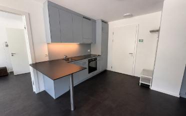 Wohnung 3.5 Zimmer - image - 2