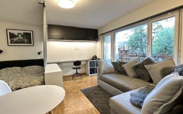 Furnished flat 1 room - image - 5