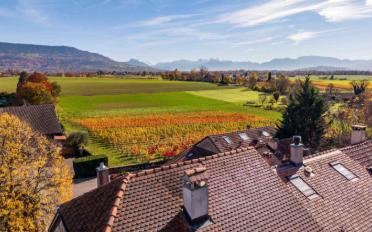 Einfamilienhaus 8 Zimmer - image - 12