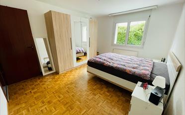 Wohnung 2.5 Zimmer - image - 5