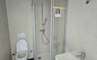 Attic flat 2.5 rooms - image - 5