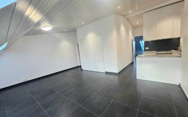 Attic flat 2.5 rooms - image - 2