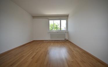 Wohnung 3.5 Zimmer - image - 3