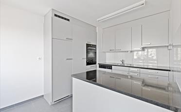 Wohnung 3.5 Zimmer - image - 4