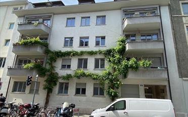 Wohnung 1.5 Zimmer - image - 1