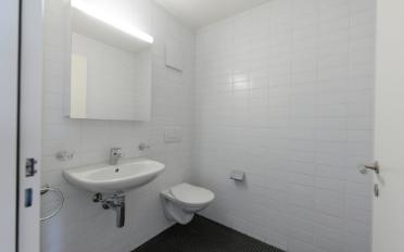 Attic flat 5.5 rooms - image - 9