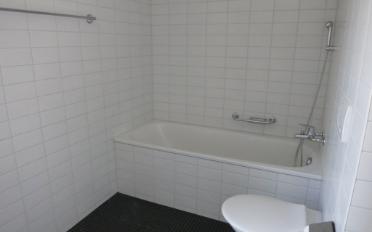 Attic flat 5.5 rooms - image - 8