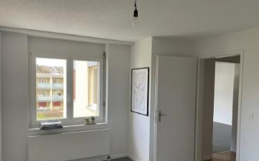 Apartment 2.5 rooms - image - 5