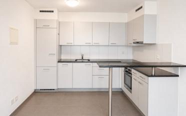 Wohnung 2.5 Zimmer - image - 3