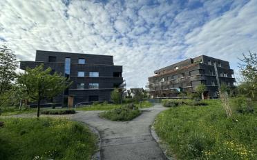 Wohnung 3.5 Zimmer - image - 1