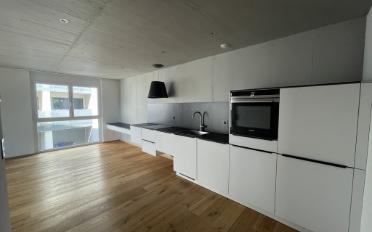 Apartment 2.5 rooms - image - 3