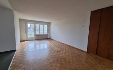 Apartment 3.5 rooms - image - 2
