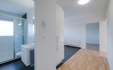 Appartement 2.5 pièces - image - 7