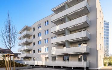 Wohnung 2.5 Zimmer - image - 1