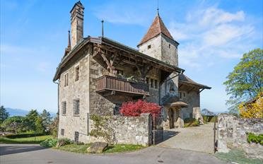 Château 12.5 pièces - image - 4
