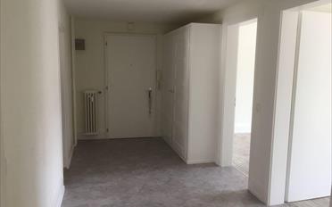 Wohnung 4 Zimmer - image - 2