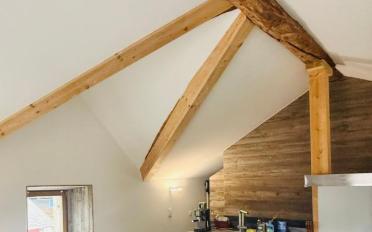 Wohnung ein Zimmer - image - 3