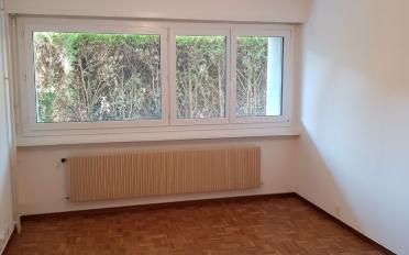 Wohnung ein Zimmer - image - 2