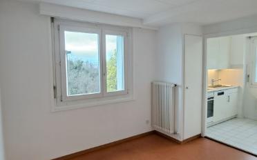 Appartement 3.5 pièces - image - 4