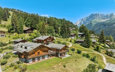 Chalet 9 pièces - image - 8