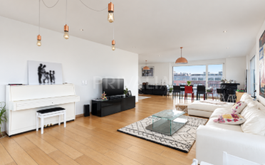 Attic flat 5 rooms - image - 1