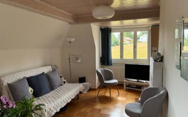 Wohnung 2.5 Zimmer - image - 1