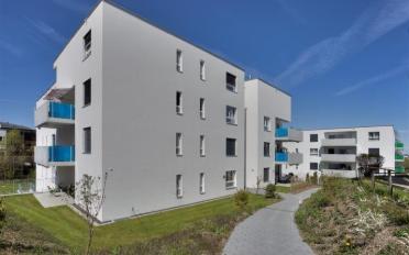Wohnung 3.5 Zimmer - image - 2