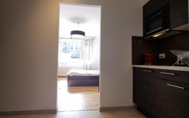 Appartement meublé 1 pièce - image - 4