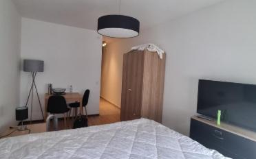 Furnished flat 1 room - image - 3