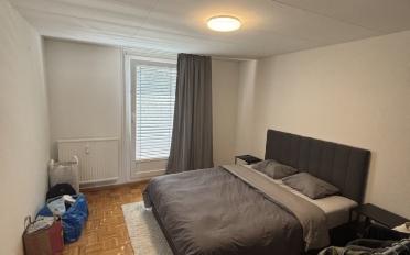 Apartment 3.5 rooms - image - 5