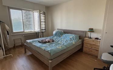 Wohnung 3 Zimmer - image - 4
