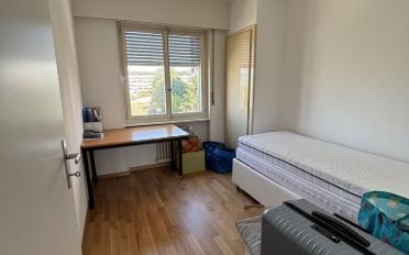 Wohnung 3 Zimmer - image - 5