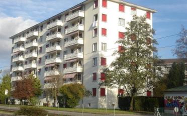 Wohnung 2 Zimmer - image - 1