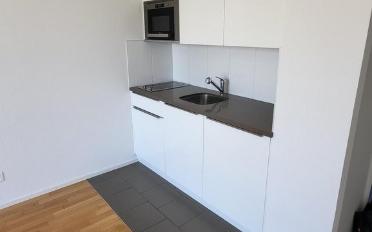 Wohnung 1.5 Zimmer - image - 3