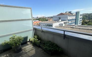 Apartment 4.5 rooms - image - 10
