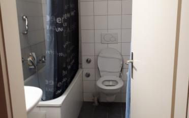 Wohnung 3 Zimmer - image - 5