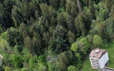 Apartment 4.5 rooms - image - 1