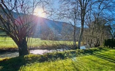 Reihenfamilienhaus 5.5 Zimmer - image - 3