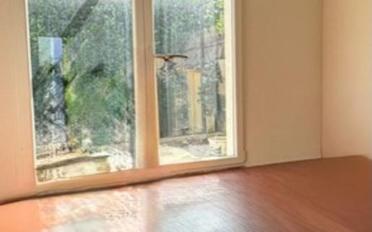 Villa 9 rooms - image - 11