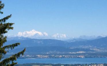 Single house 7.5 rooms - image - 1