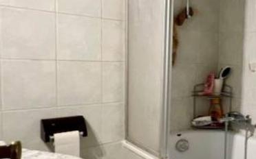 Apartment 6.5 rooms - image - 7